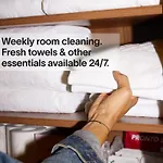 Yays Paris Zola By Numa