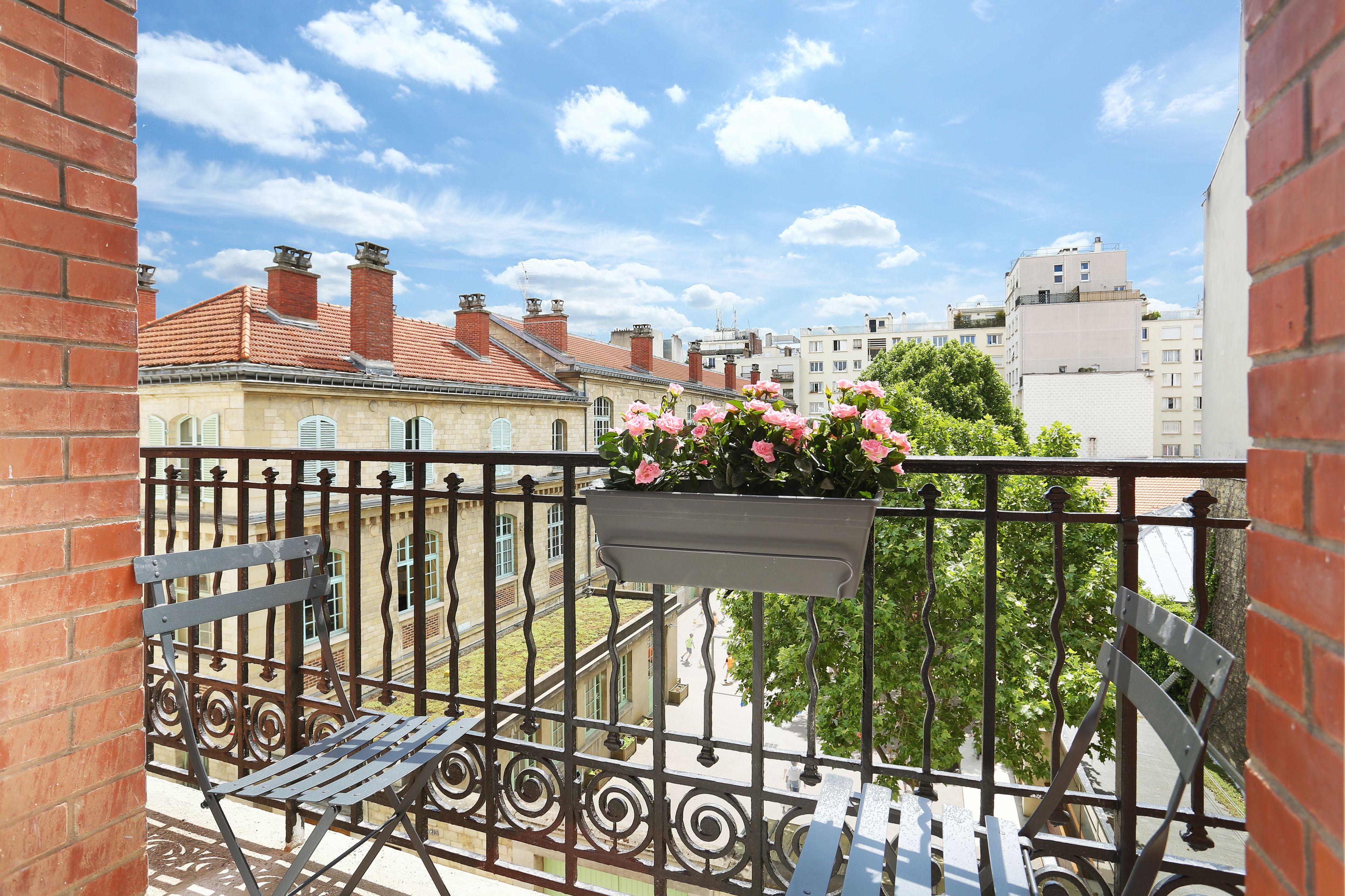 Yays Zola By Numa Parigi